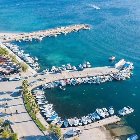 Endless Summer Srima