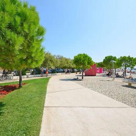 Endless Summer * Srima