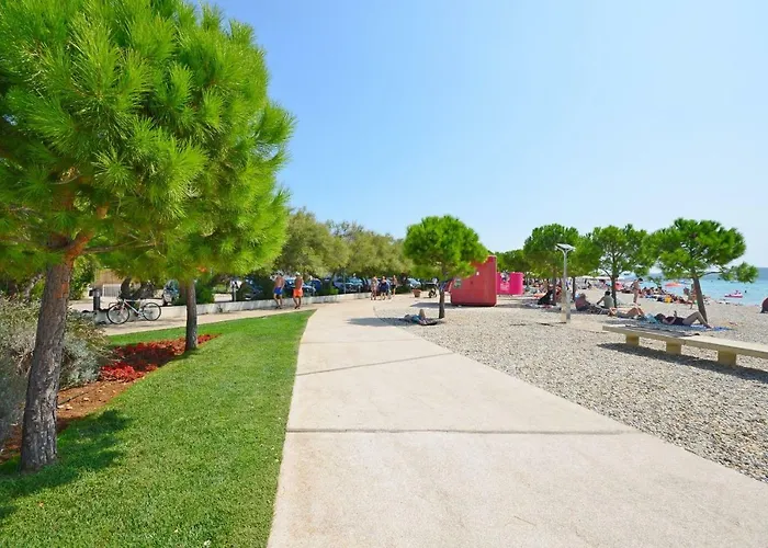 Endless Summer * Srima